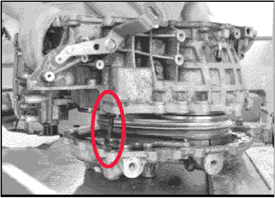 520065657_graphic-text24D